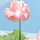 zhen liu's avatar