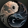 rcw's avatar