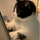 家豪 张's avatar
