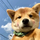 H's avatar
