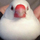 fzw's avatar