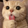 y z's avatar