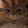cym's avatar